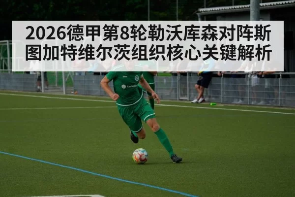 2026德甲第8轮勒沃库森对阵斯图加特维尔茨组织核心关键解析